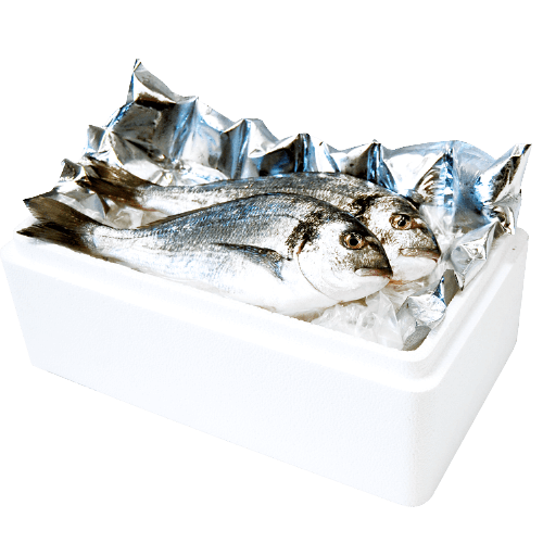 EPS Fish Box, For Packaging, Size (Dimension): 19 X 9 X 4 cm at Rs